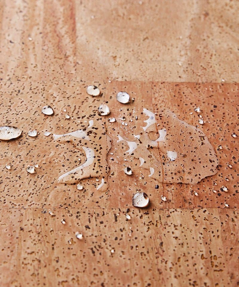 Eco Friendly Cork Yoga Mat